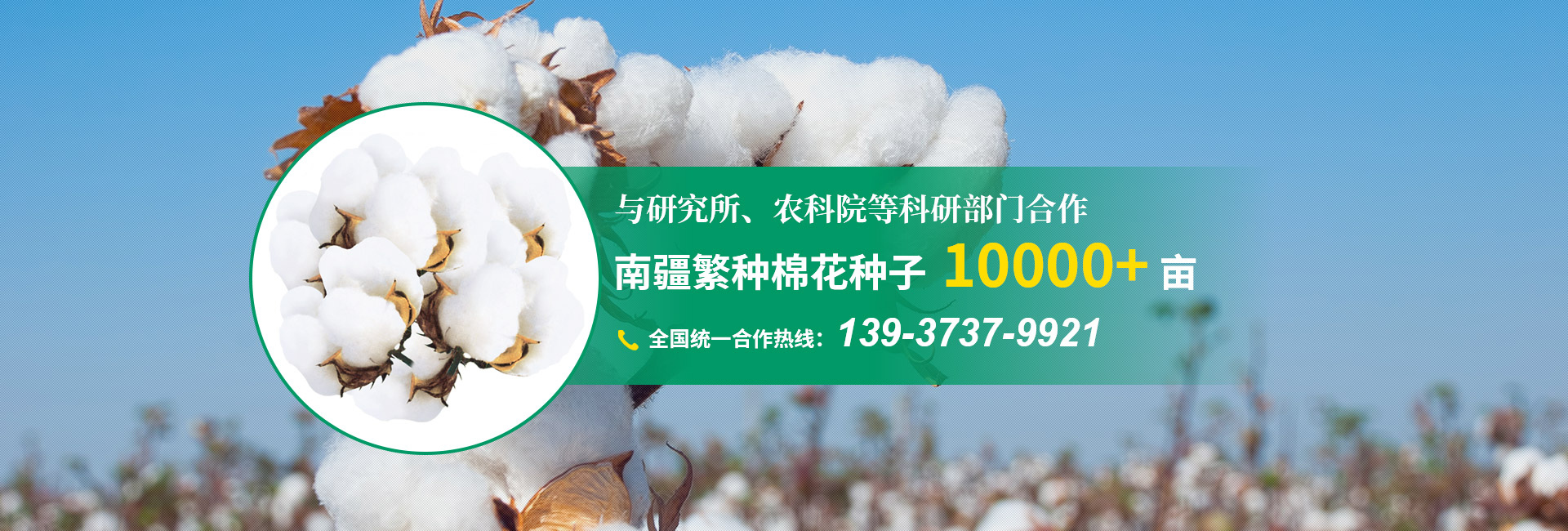 新乡市新开种子有限公司