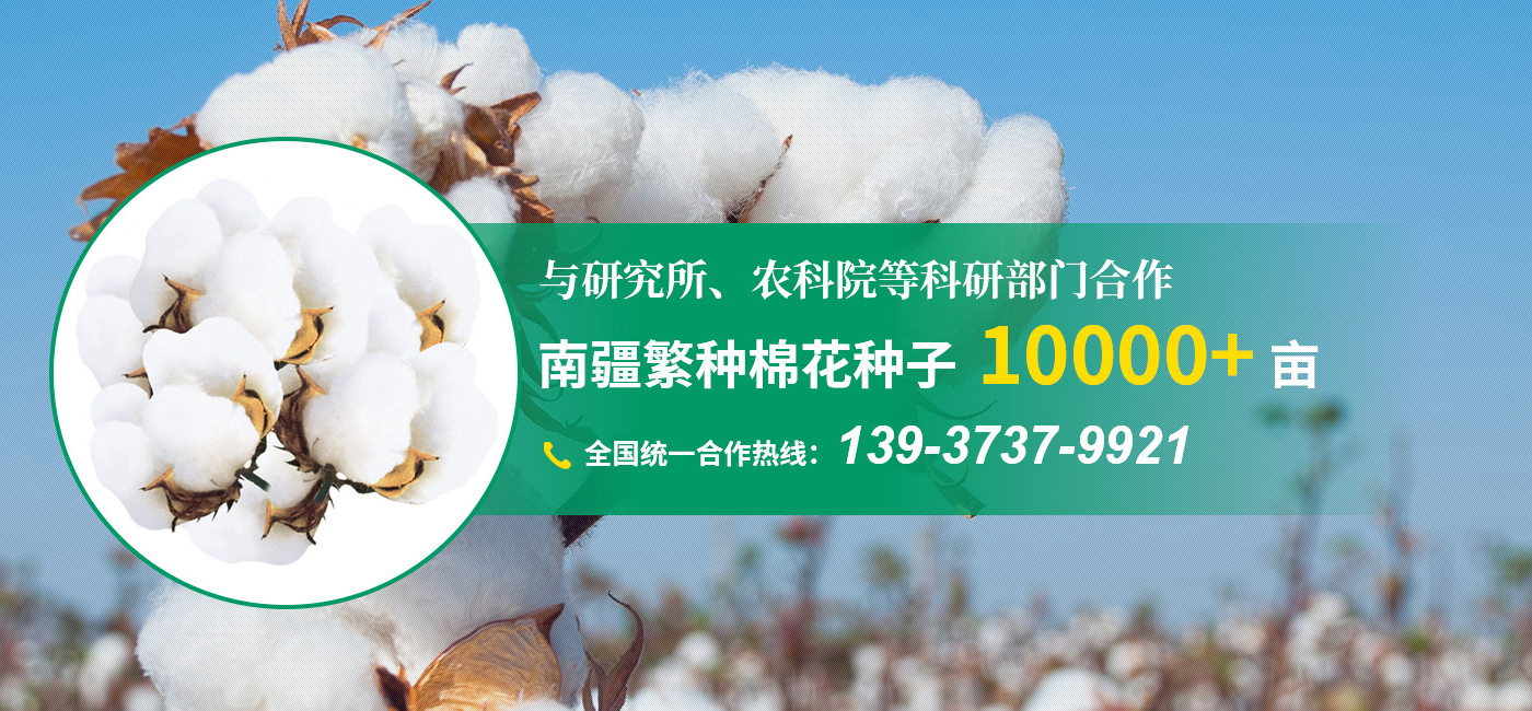 新乡市新开种子有限公司 新乡市新开种子有限公司